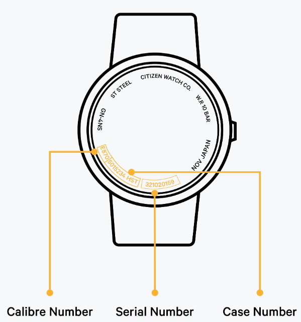 Citizen watch 2025 find model number