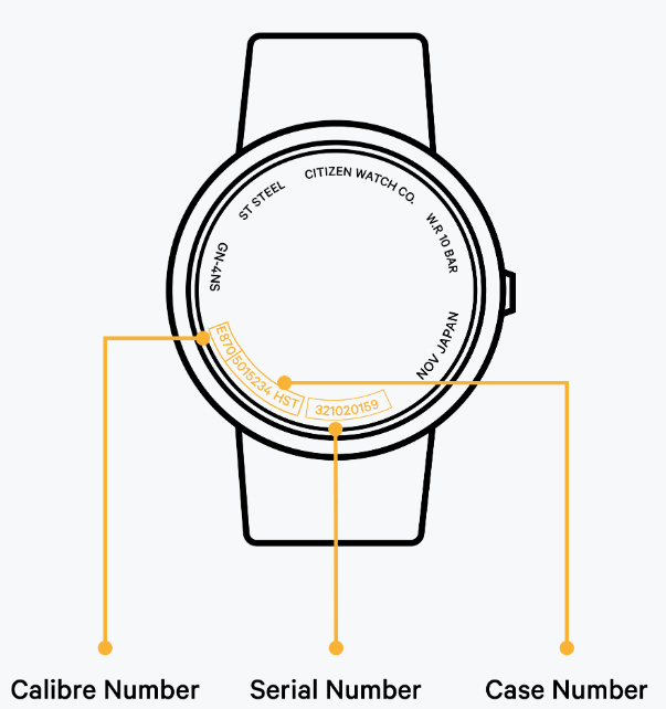 How often should I charge my Eco Drive watch Citizen Watch UK Help Centre